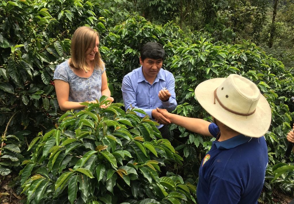 The Effects of Climate Change on Coffee Producers