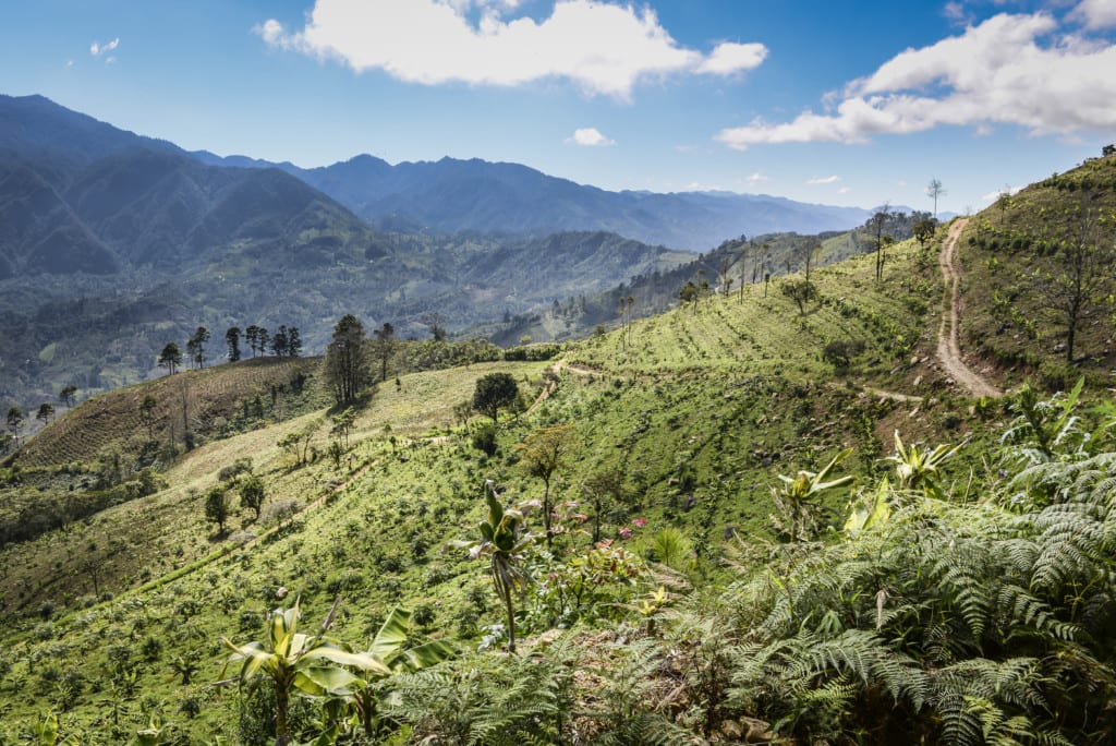 Coffee origin tasting notes – What does origin tell you about flavour?