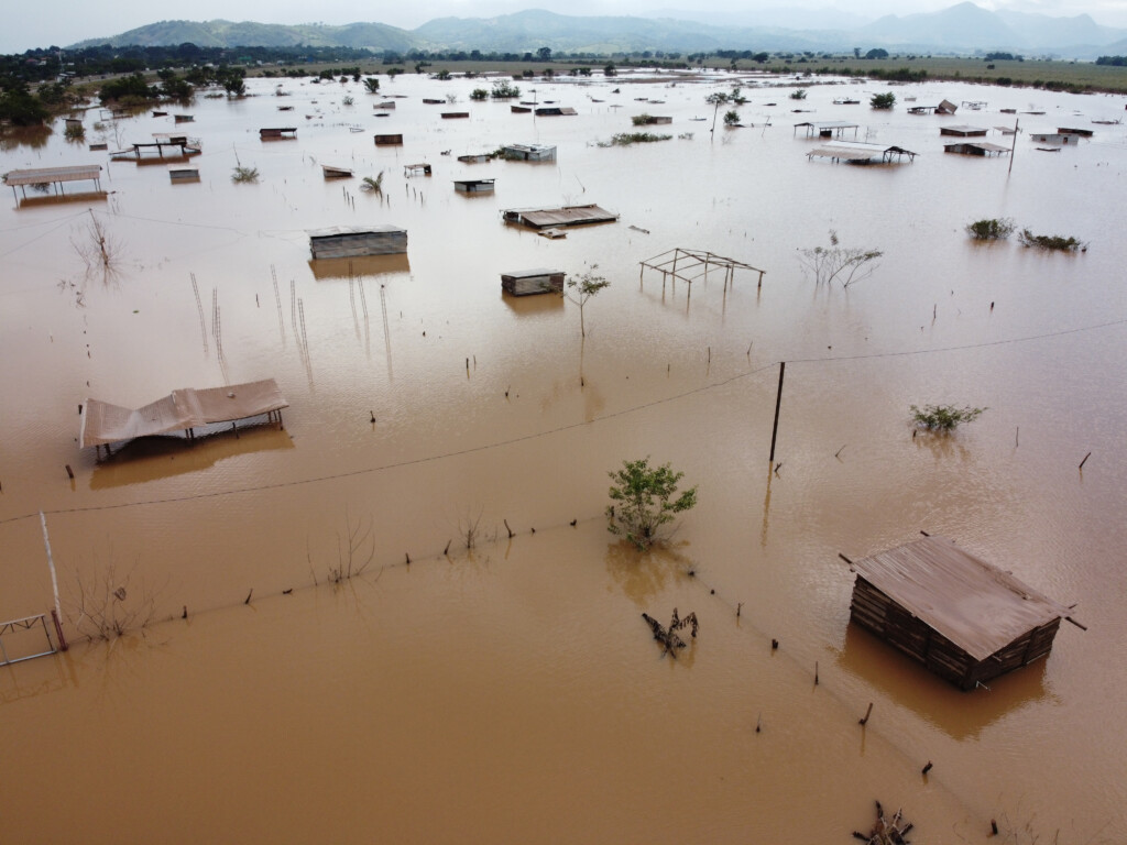 Biting Back at The Climate Crisis with Fairtrade Cocoa
