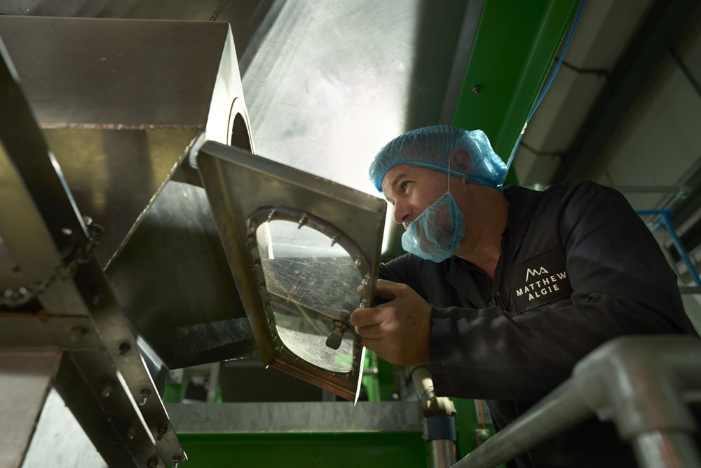 Coffee Roaster doing checks