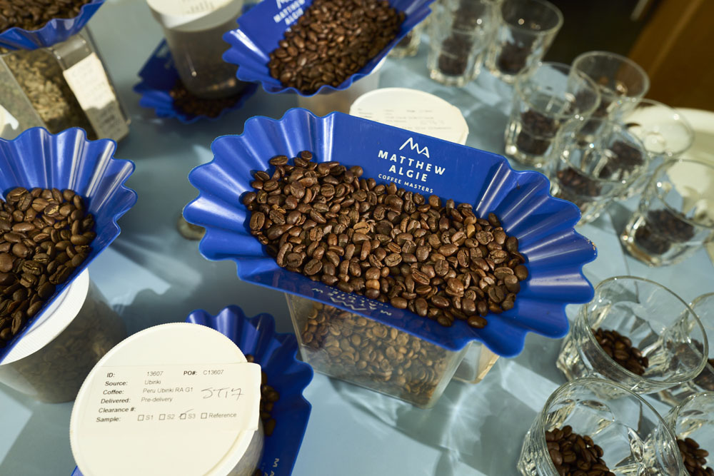 coffee beans ready to be tested