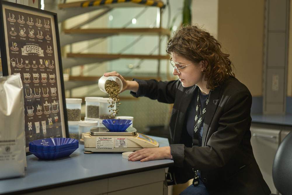 expert coffee roaster weighing coffee beans