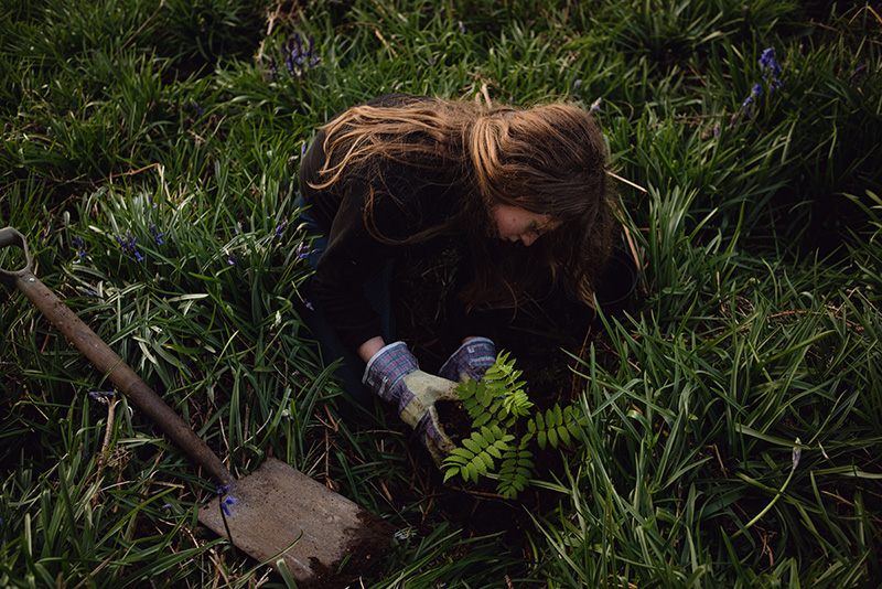 Planting tree