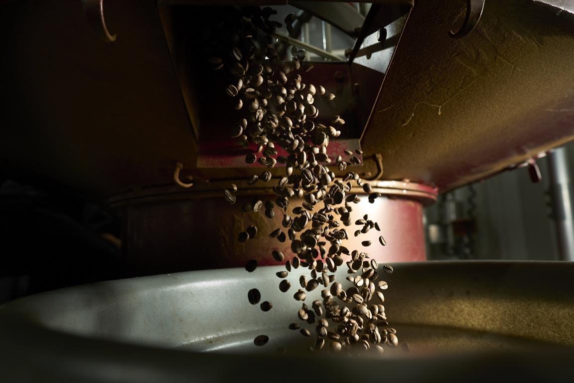 freshly roasted coffee beans
